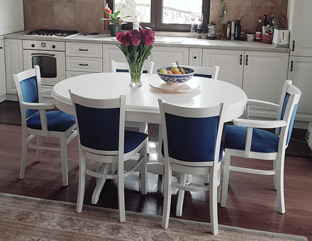 MD238 chairs with Europa table